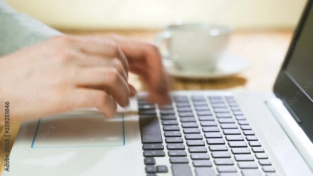 Woman typing on laptop keyboard in the office. Close up woman hands writing on laptop computer keyboard Woman typing on laptop keyboard in the office. Close up woman hands writing on laptop computer keyboard