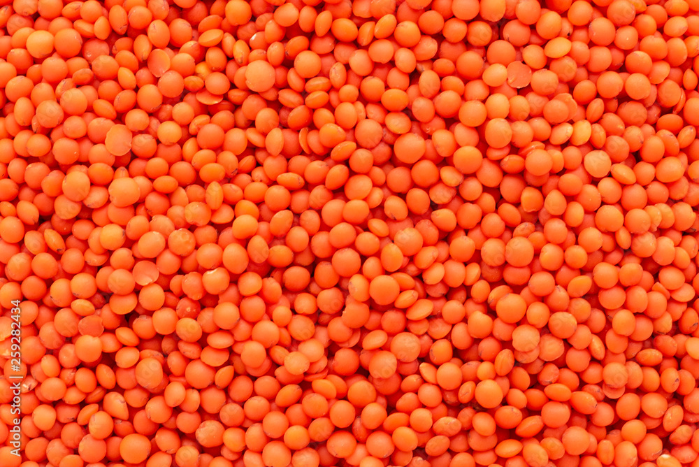Lentil  in a white saucer on a gray concrete background