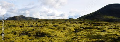 Typical landscape of the spectacular moss fields of Eldhraun moss covering lava rock) in the south of Iceland