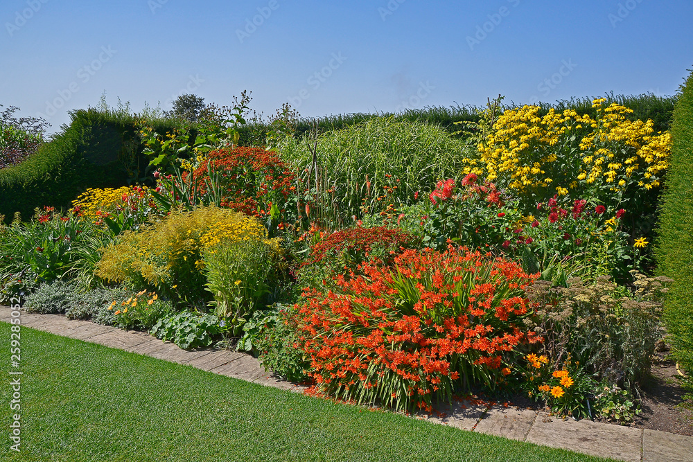 A colourful enclosed Garden 'Room' well planted with mixed planting including, crocosmia, heleniums, dahlias, coreopsis and rudbeckia and grasses