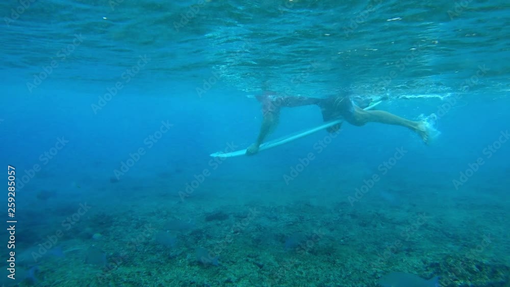 Surfer makes the dive under the wave. Performs the trick named in surfing as the Duck Dive Surfer makes the dive under the wave. Performs the trick named in surfing as the Duck Dive