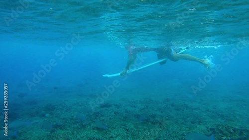 Wallpaper Mural Surfer makes the dive under the wave. Performs the trick named in surfing as the Duck Dive Torontodigital.ca