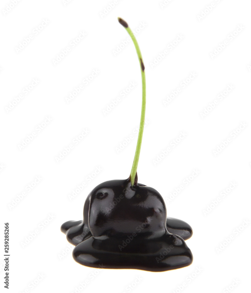 red cherry in chocolate isolated on white background close up red cherry in chocolate isolated on white background close up