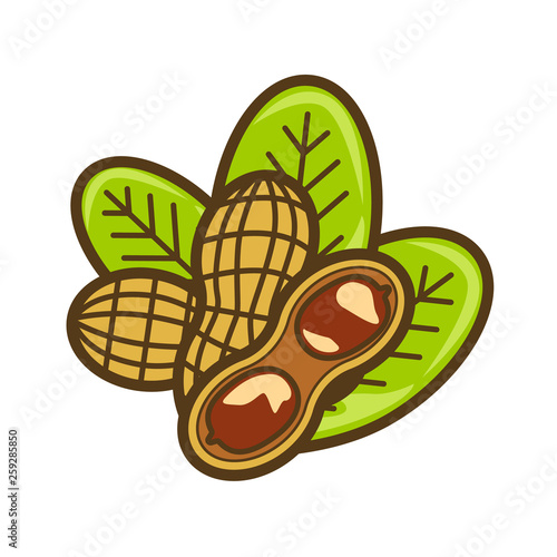 Peanut butter vector icon. Cartoon illustration of peanut icon for web design. Nuts emblems and labels isoleted on white backgraund