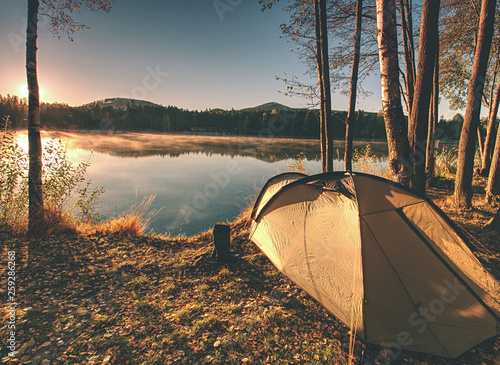 Принти на полотні Tourist tent. Camping bellow trees at the river