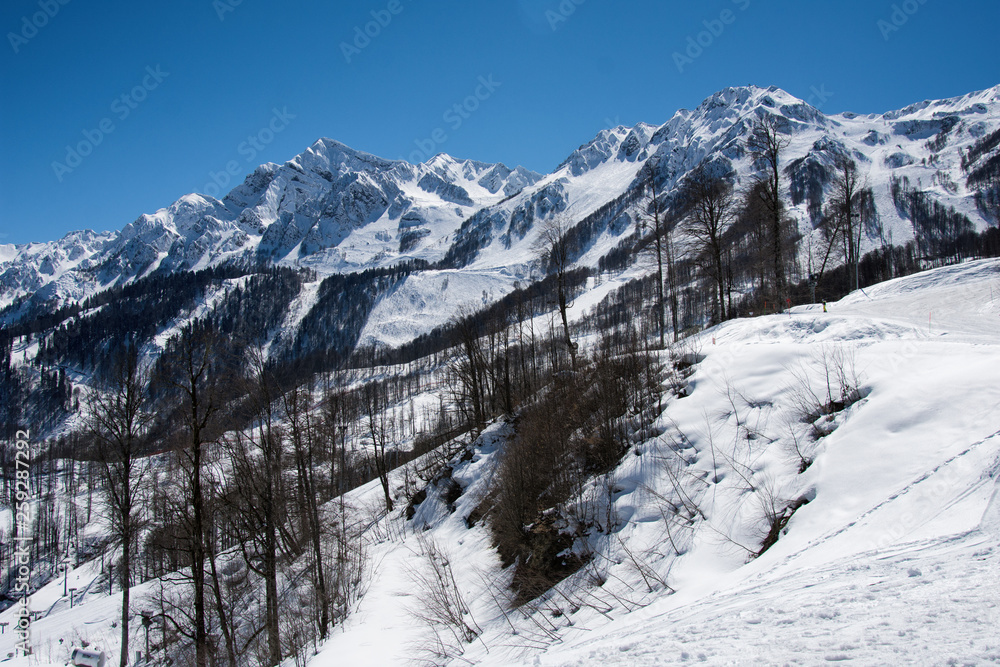 Sochi. Beautiful vacation in the mountains.