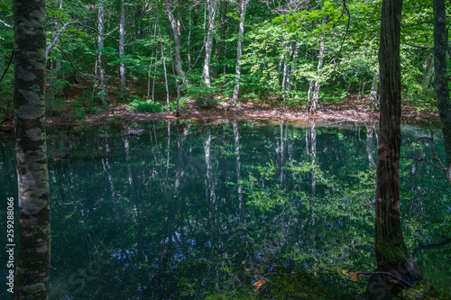  Early summer of Aomori Prefecture Hakkoda