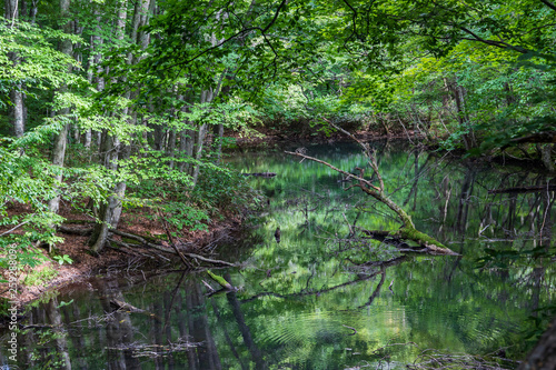  Early summer of Aomori Prefecture Hakkoda