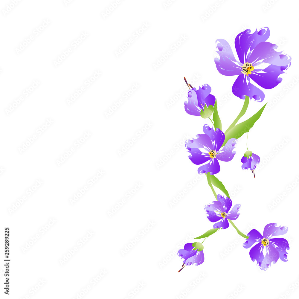 beautiful flowers beautiful flowers