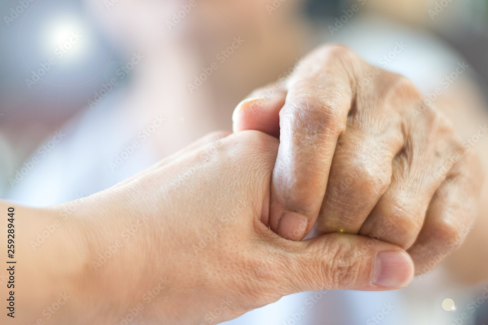Fototapeta premium Caregiver, Specialized Assistance, carer hand holding elder hand woman in hospice care. Philanthropy kindness to disabled concept.Public Service Recognition Week