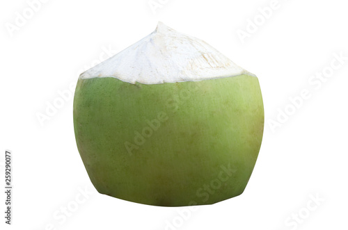 Coconut fruit on white background