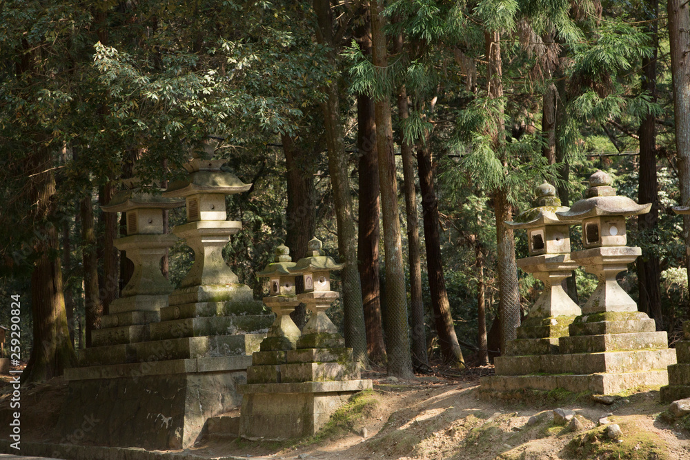 Stone lanterns in the Nara park in Japan during de Hanami