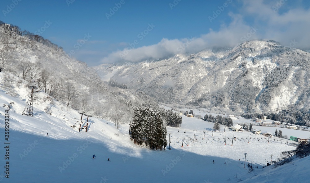 Fototapeta premium 日本のスキーリゾート