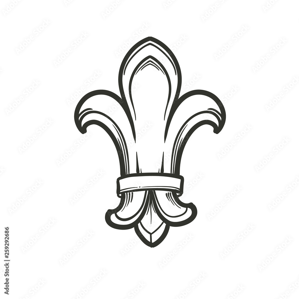 Stylized Lily flower. Black and white linear drawing isolated on white background. EPS10 vector illustration Stylized Lily flower. Black and white linear drawing isolated on white background. EPS10 vector illustration