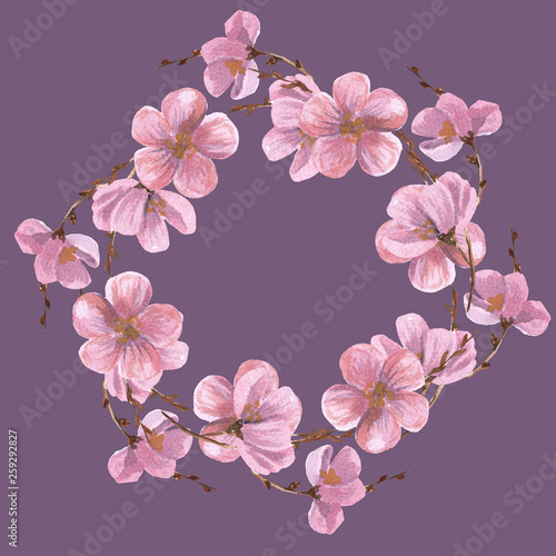 frame bezel flowers wreath apple tree pink.Spring flowers. Apple tree  sakura branch