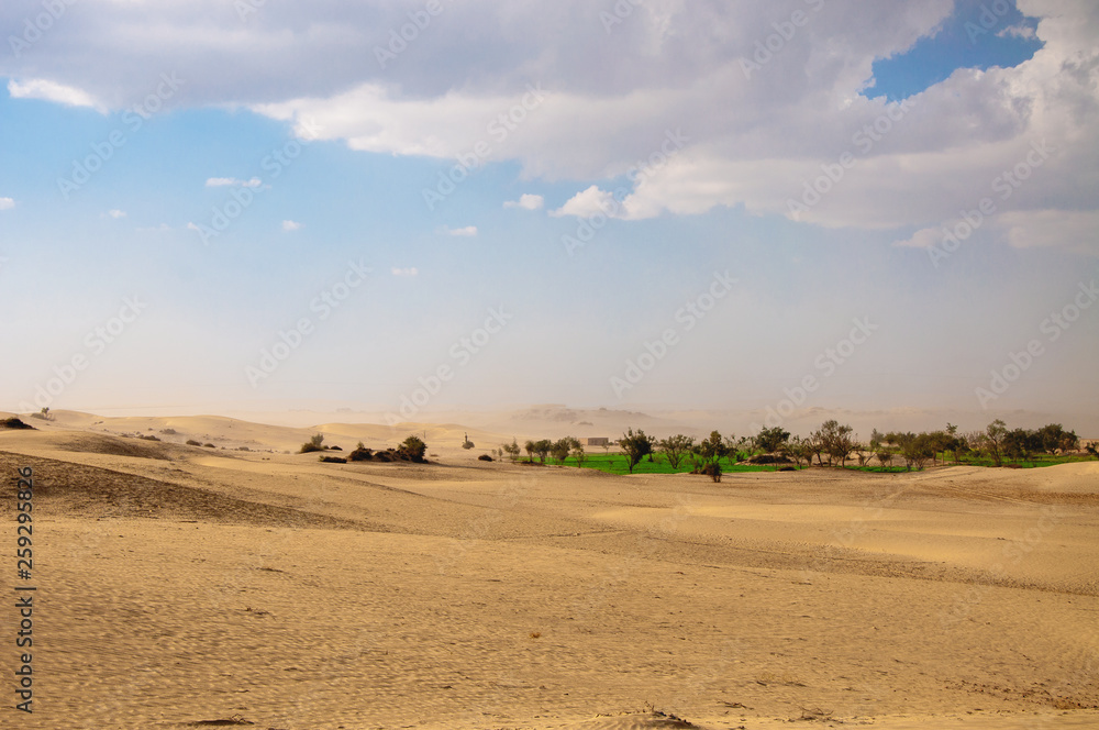 An Oasis and sand storm in the desert An Oasis and sand storm in the desert