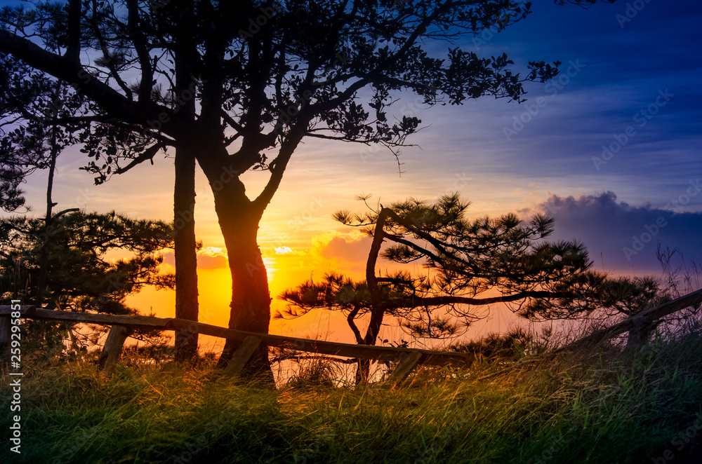 Tourist attractions in Asia with beautiful atmospheric attractive environmental twilight at Phu Soi Dao National Park in of Phitsanulok and Uttaradit Provinces of thailand