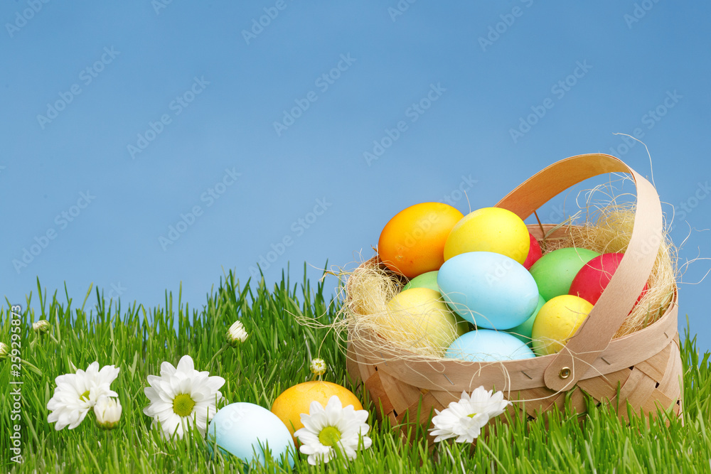 Fototapeta premium Basket with painted Easter eggs on green grass. Easter holiday concept.