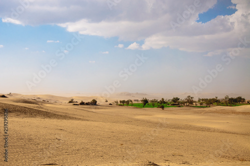 An Oasis and sand storm in the desert