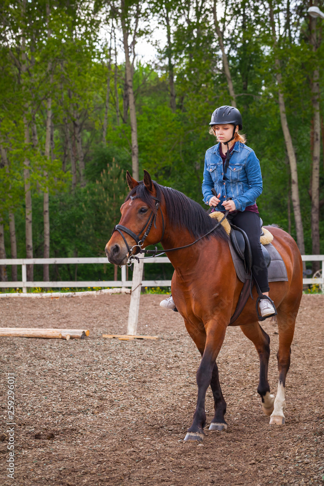 Blond teenage girl rides brown horse Blond teenage girl rides brown horse