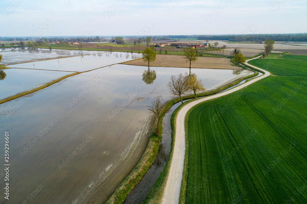 Flooded fields for rice cultivation in the Po Valley, Italy. Panoramic aerial view. Typical countryside landscape of northern Italy with dirt roads, fields and ancient farms.