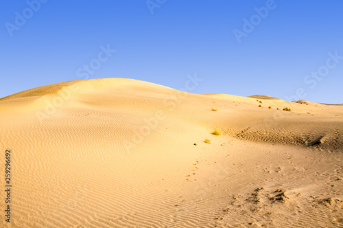 Sand dunes in the Libya