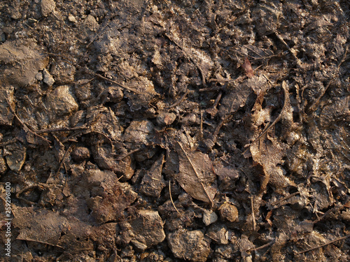 texture of soil