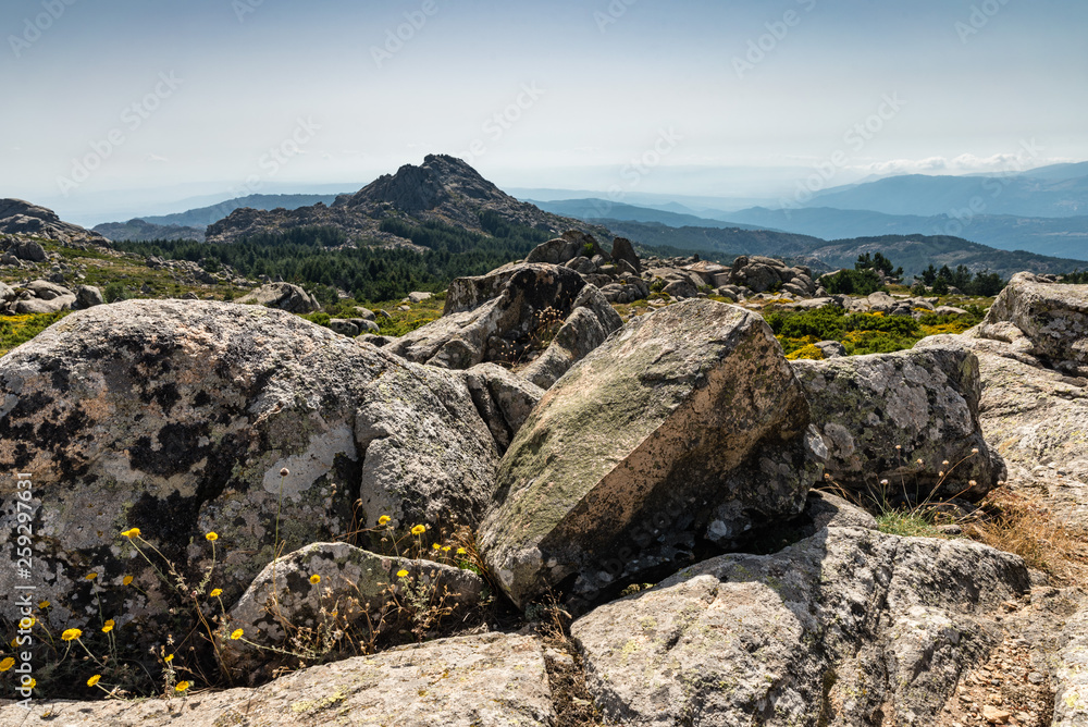 Landscape Monte Limbara Sardinien