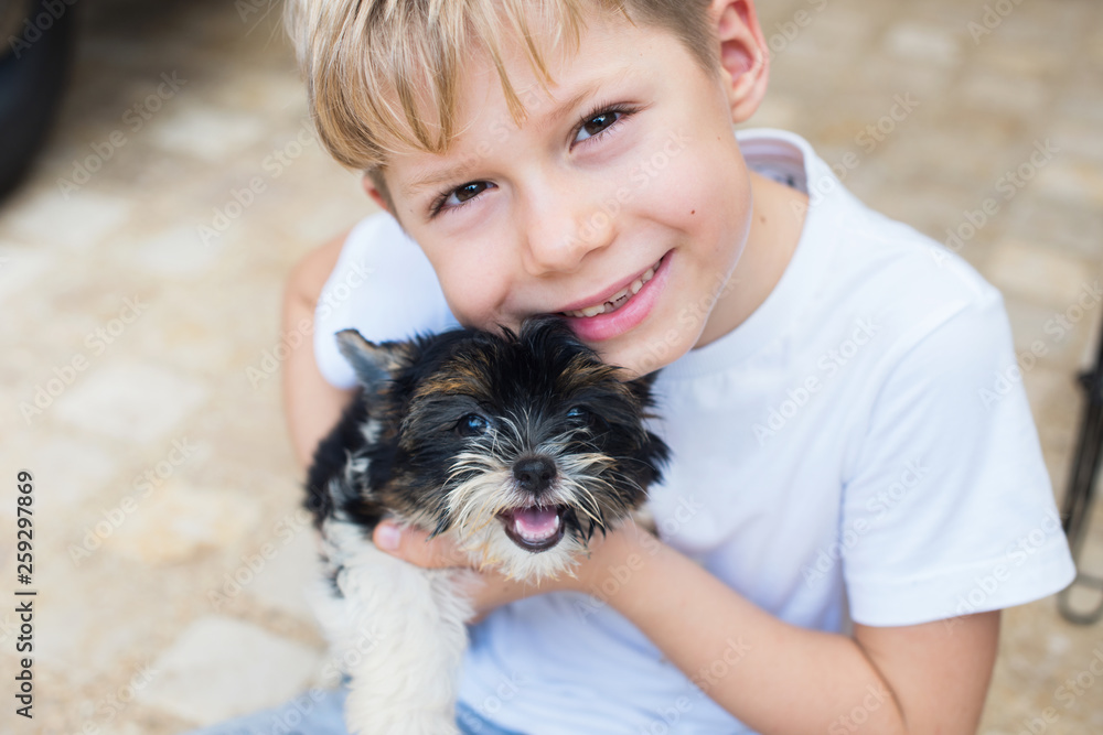 caucasian boy embraces puppy Yorkshire terrier caucasian boy embraces puppy Yorkshire terrier