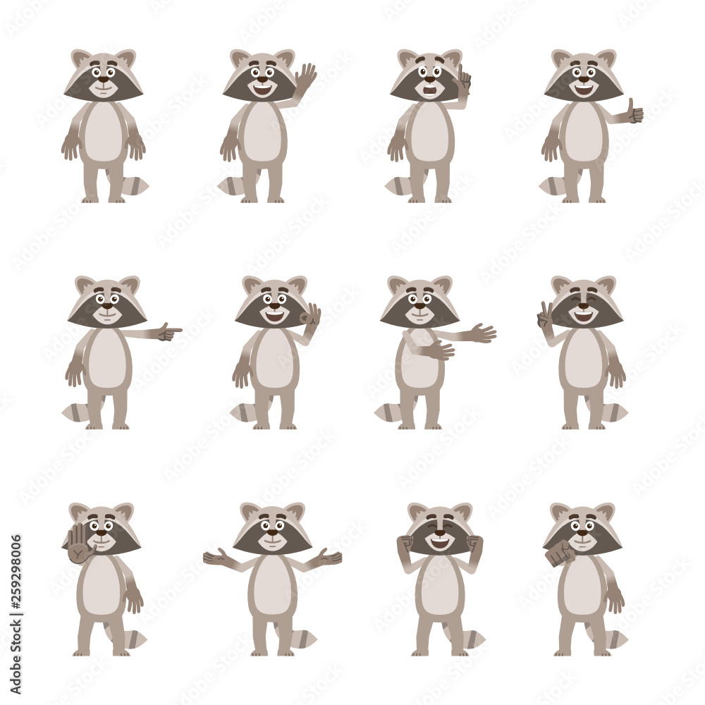 raccoon cartoon characters