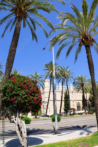 Stadtansichten palma de mallorca © fotobild40
