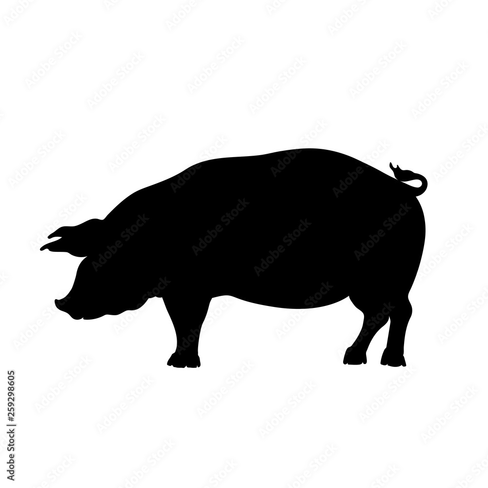 Black silhouette of pig. Isolated image of farm boar. Domestic amimal icon. Isolated image. Butcher shop logo. Black silhouette of pig. Isolated image of farm boar. Domestic amimal icon. Isolated image. Butcher shop logo.