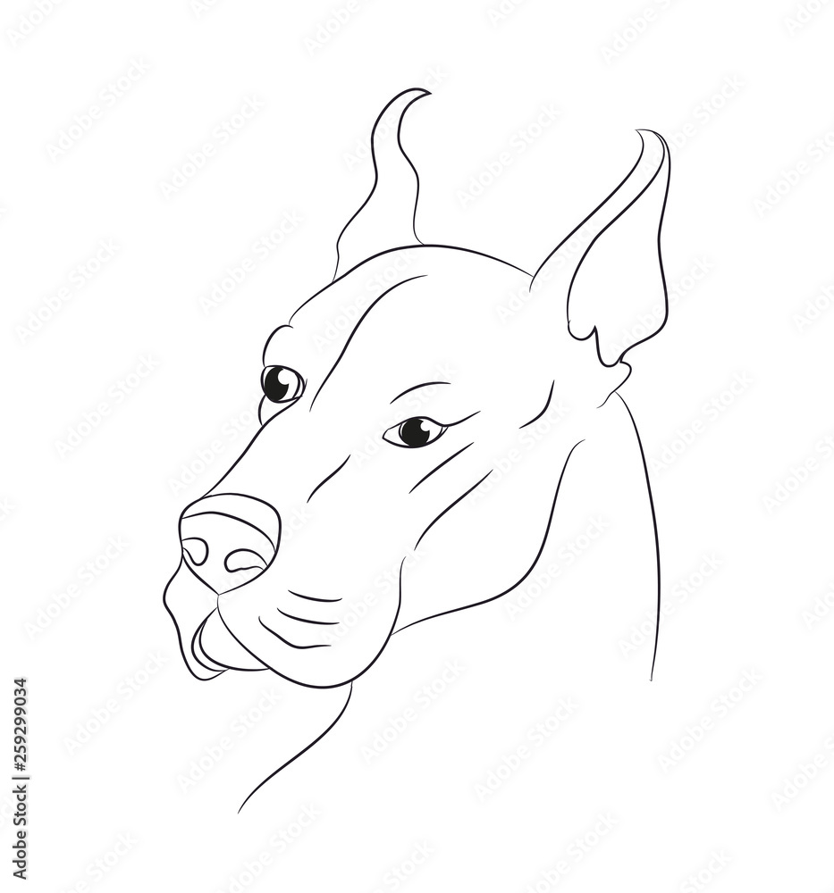 dog portrait, lines, vector