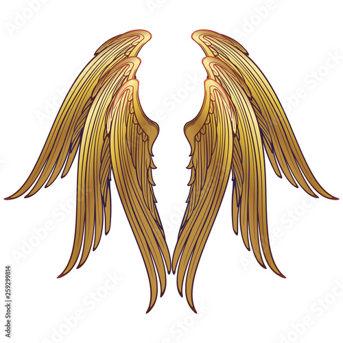6 winged seraphim wings template