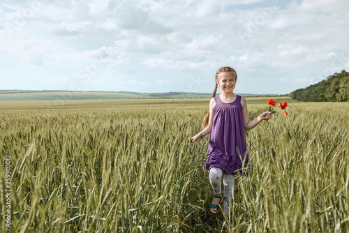 girl with red tulip flowers posing in the wheat field, bright sun, beautiful summer landscape