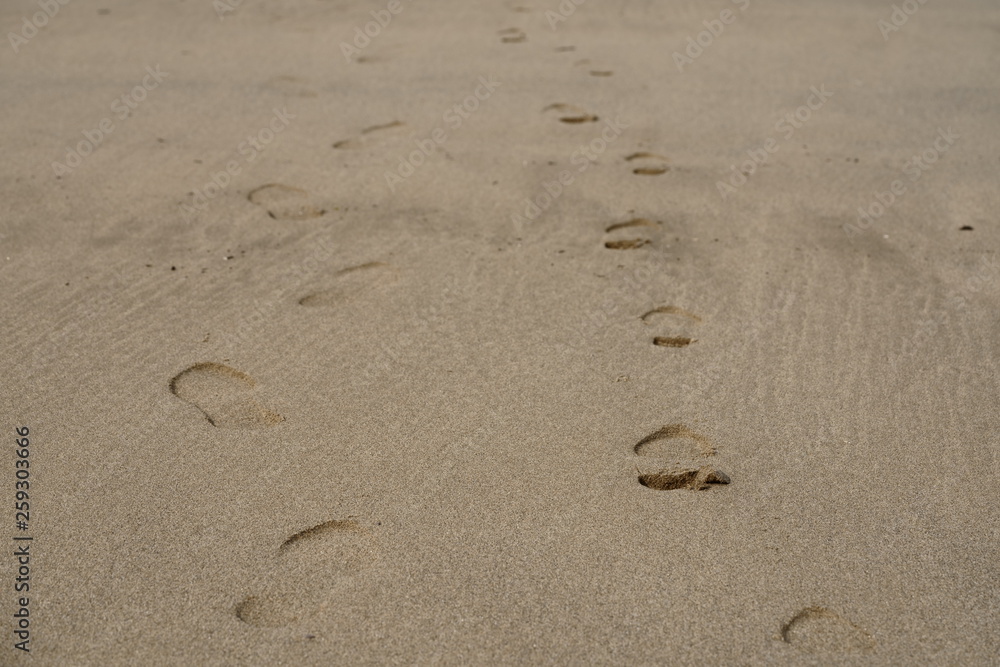 couple footprints on the beach couple footprints on the beach
