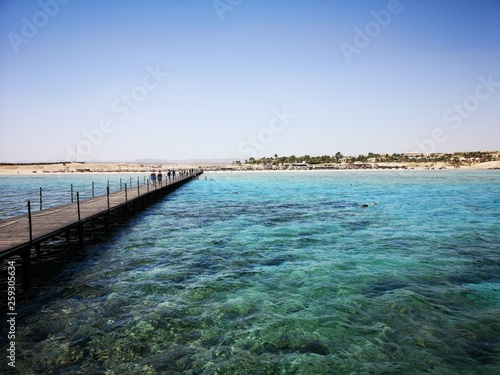 Wallpaper Mural idyllischer Steg auf paradiesischer Lagune Torontodigital.ca