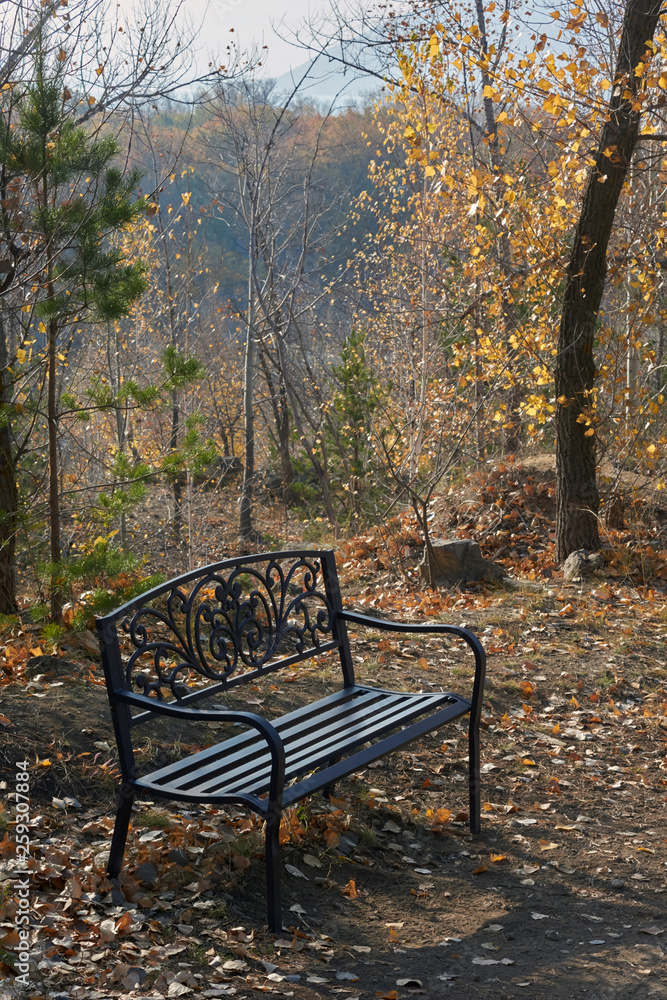 Bench  in the autumn Park .