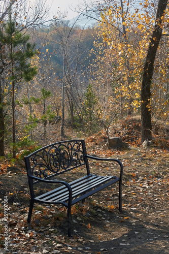 Bench in the autumn Park .