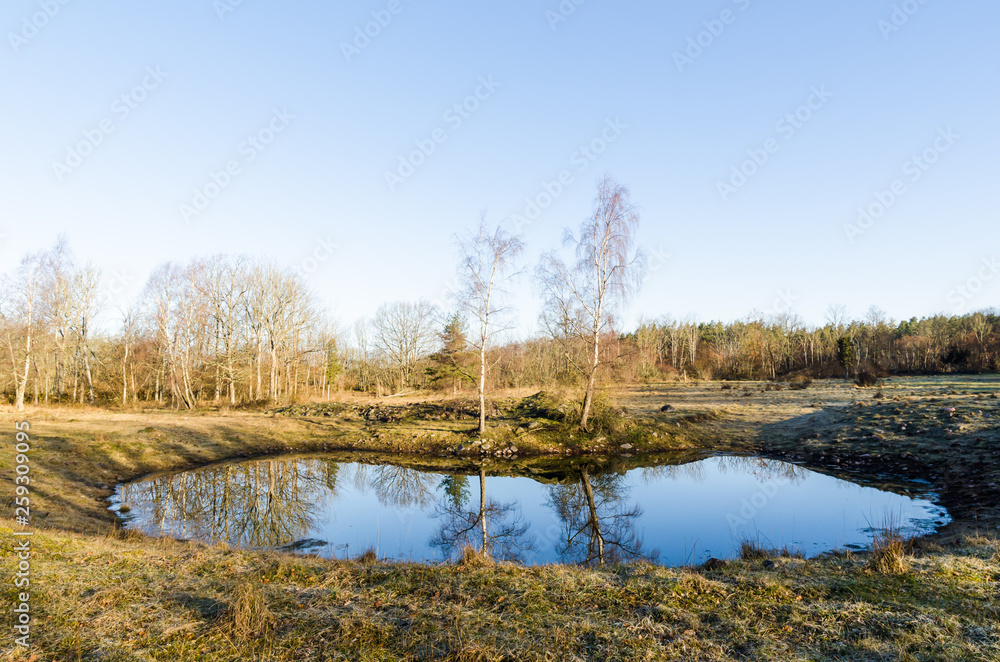 Watering hole with reflections in the countryside
