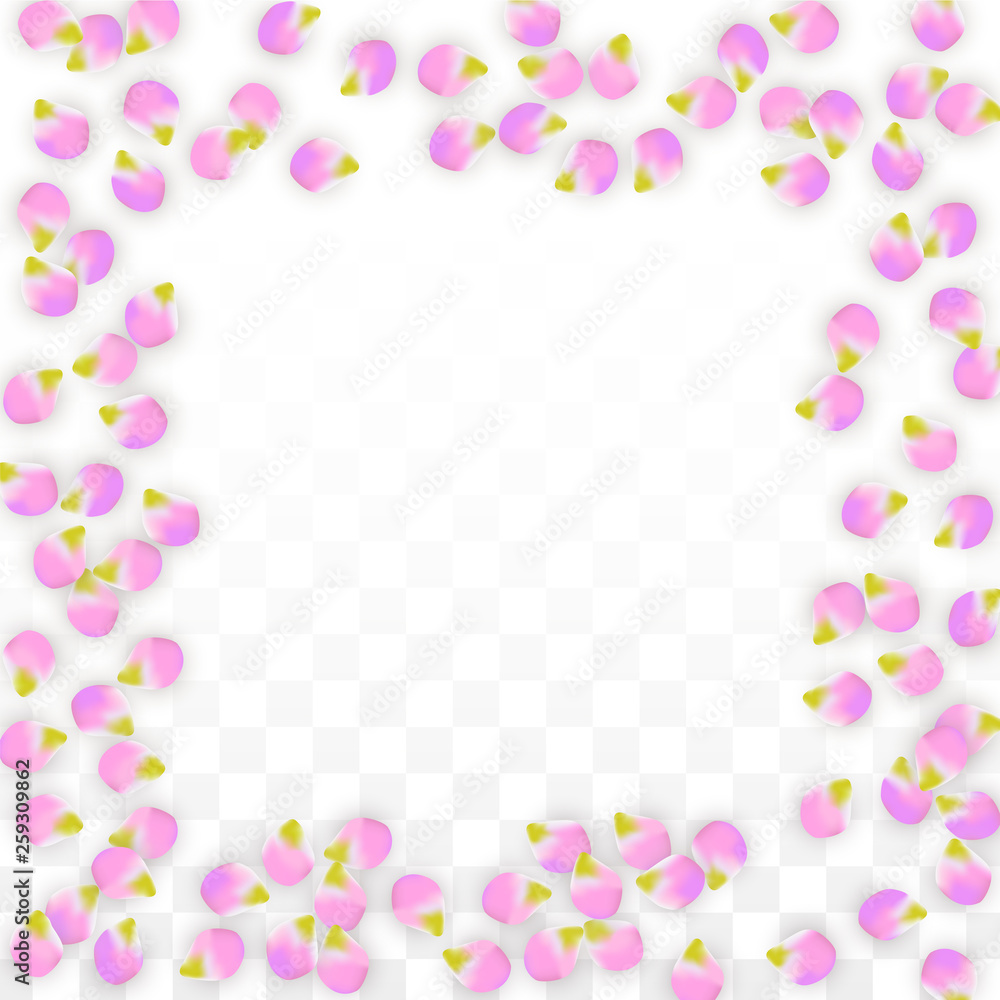 Vector Realistic Pink Petals Falling on Transparent Background.  Spring Romantic Flowers Illustration. Flying Petals. Sakura Spa Design. Blossom Confetti.