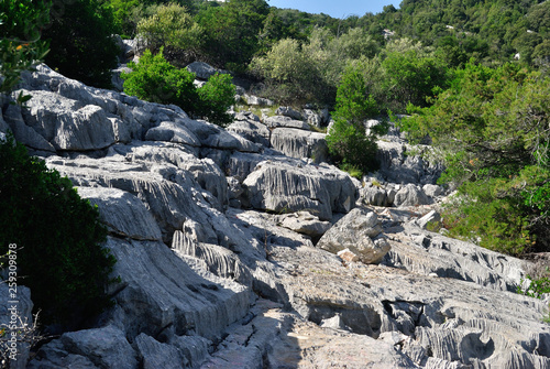 Il sentiero per cuile Sos Mojos photo