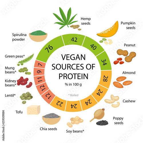 Vegan sources of protein. Infographic vector illustration