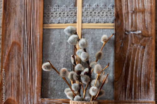 willow branches