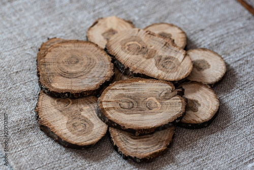 Cuts of oak branches on the fabric