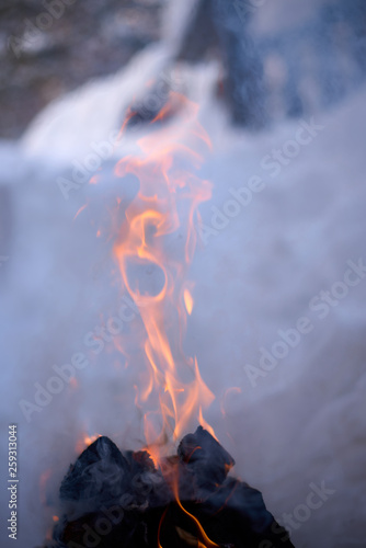 bonfire in the winter forest