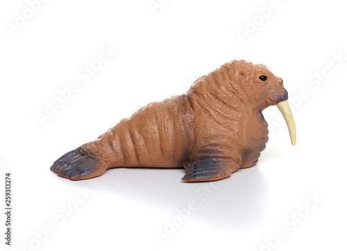 Toy walrus  isolated on white