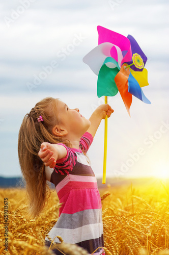 Girl holding wind toy  on wheat field.