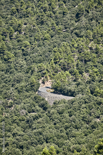 Wallpaper Mural Mountain road bend in a forest, travel concept. Torontodigital.ca