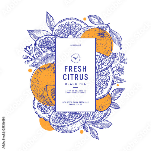 Citrus summer vertical design template. Engraved botanical style illustration. Vector illustration